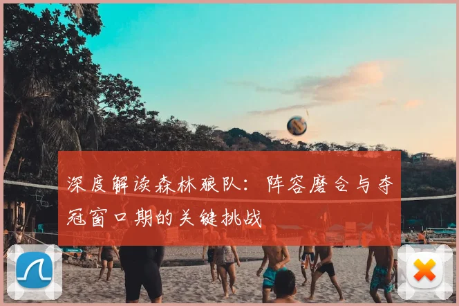 深度解读森林狼队:阵容磨合与夺冠窗口期的关键挑战