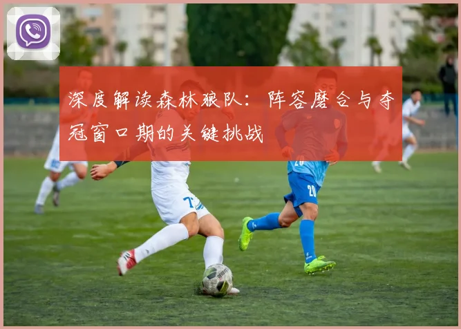 深度解读森林狼队：阵容磨合与夺冠窗口期的关键挑战