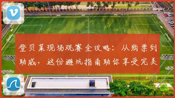 登贝莱现场观赛全攻略：从购票到助威，这份避坑指南助你享受完美足球夜