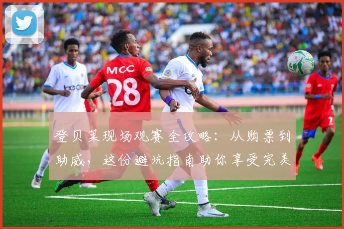 登贝莱现场观赛全攻略：从购票到助威，这份避坑指南助你享受完美足球夜